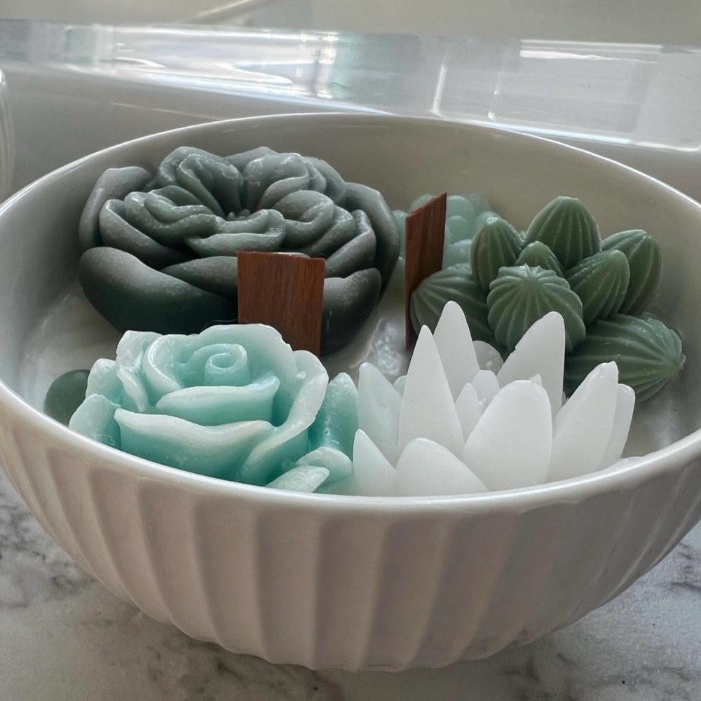 SUCCULENT CANDLE SCENT: BAJA CACTUS BLOSSOM Floral Scented Candle